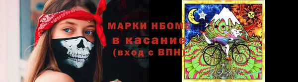 индика Михайловск