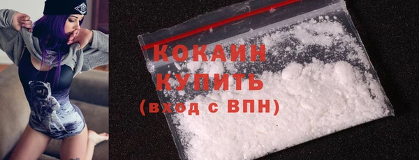 винт Ладушкин